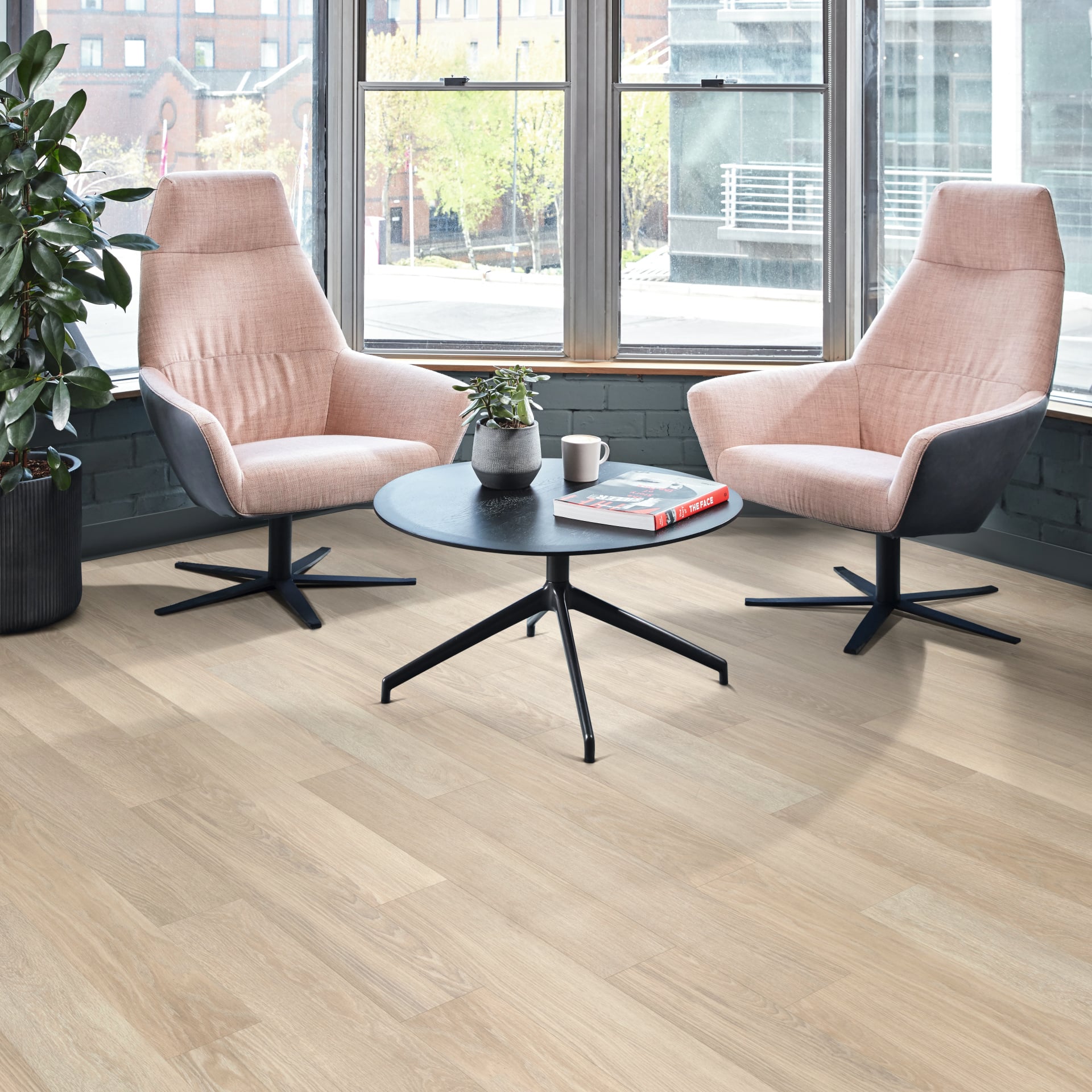 Dutch Limed Oak