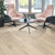 Dutch Limed Oak