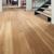 Lemon Spotted Gum